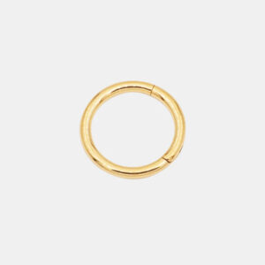 Un anneau de nez en or